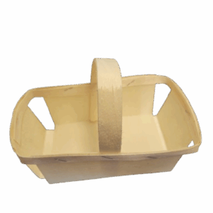 anse500g-sastramier