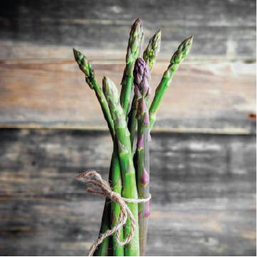 plants-poireaux-tramier