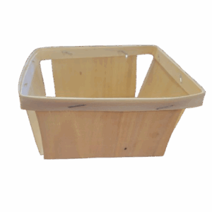 panier1kgsans-anse-sastramier
