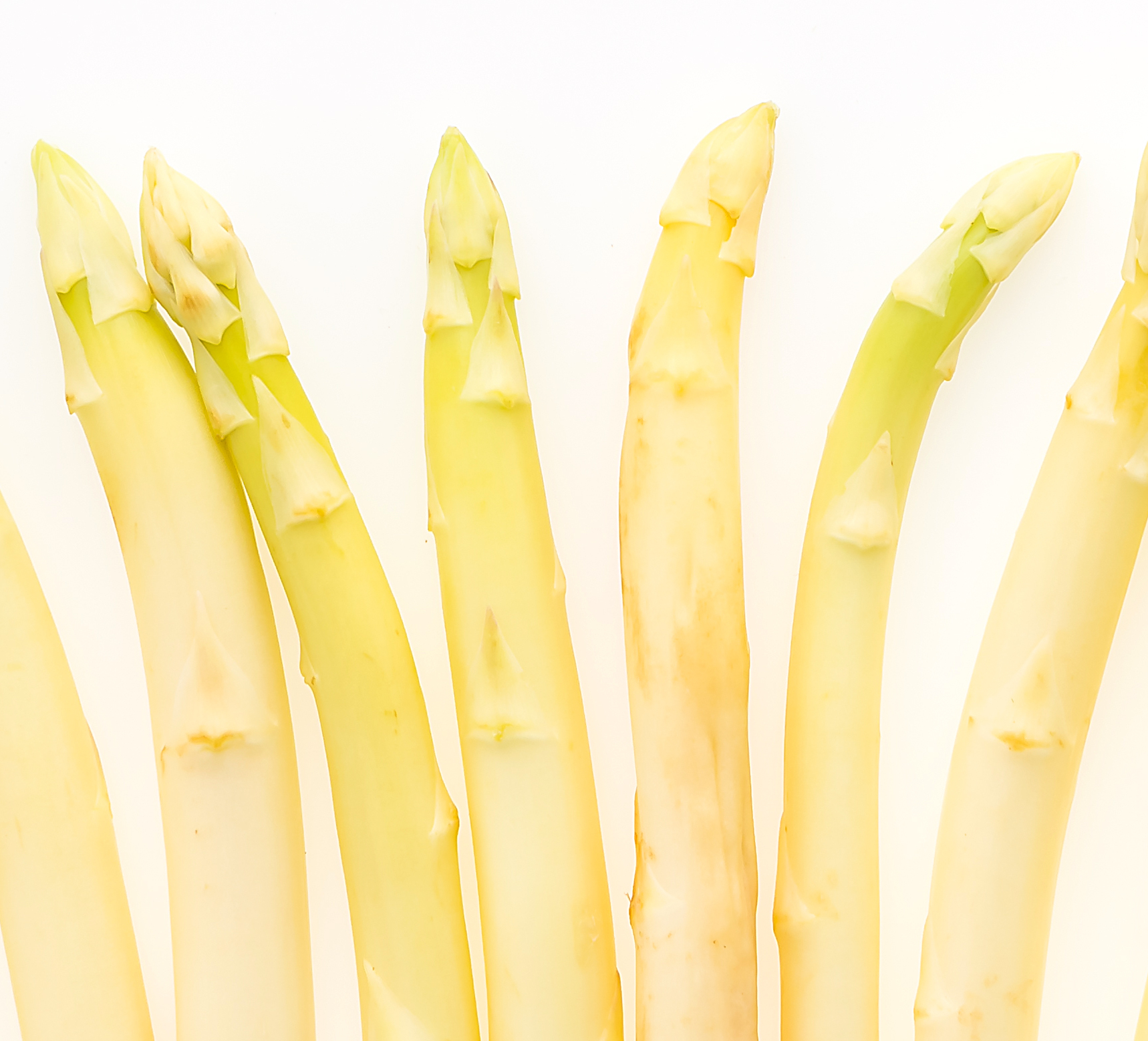 asperges-blanches-maxlim-tramier