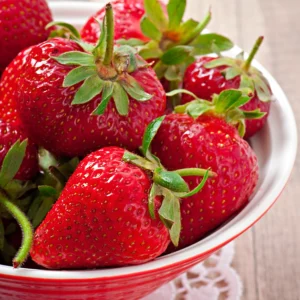 Rabunda-fraisier-tramier