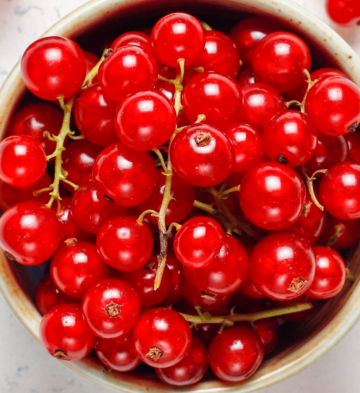 grosseille rouge tramier