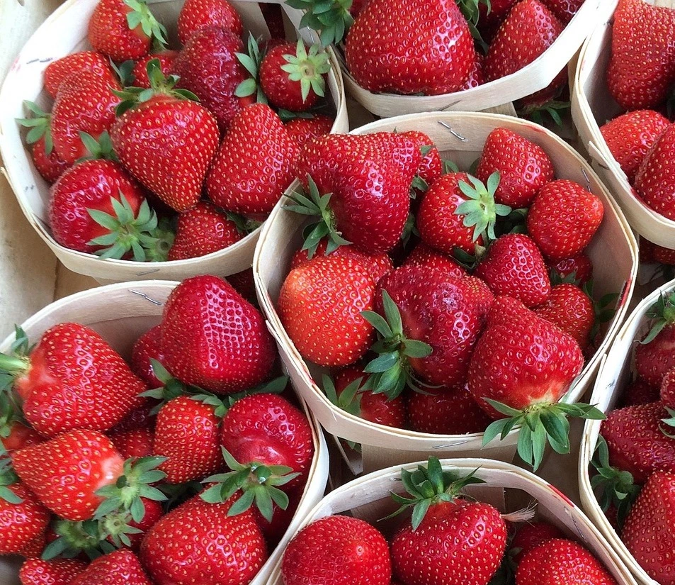 hexa-fraises-marché-tramier