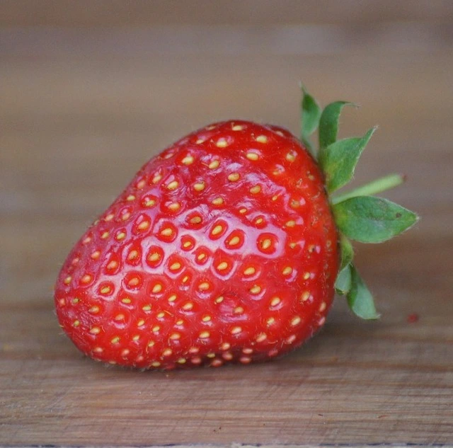 gento-fraisier-tramier