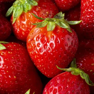 Rubis des jardins-fraisier-tramier