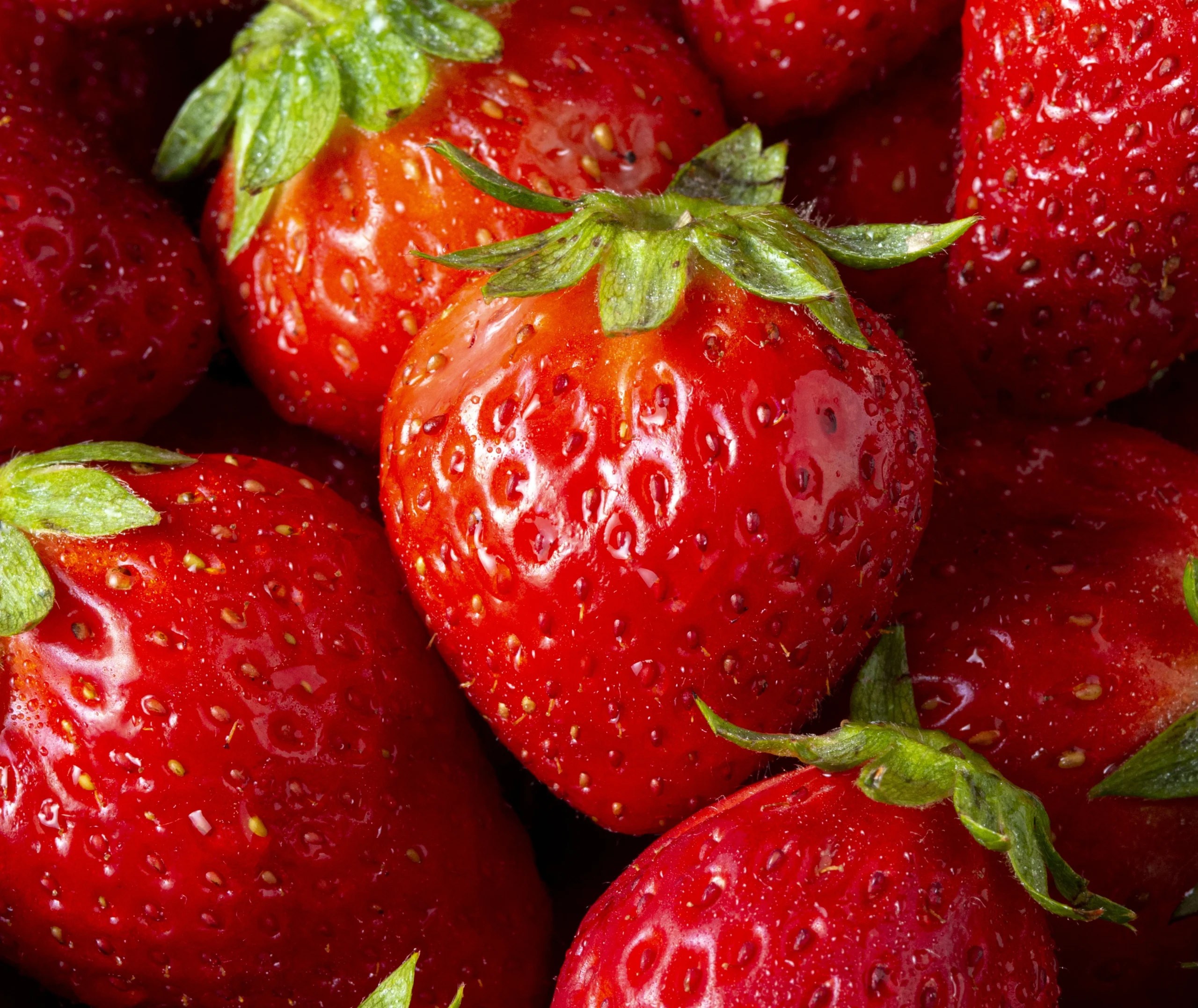 Rubis des jardins-fraisier-tramier