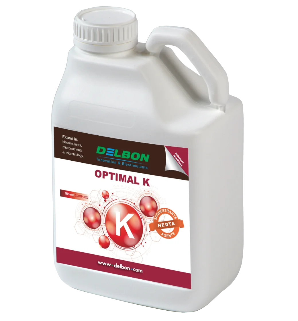 optimalK-tramier