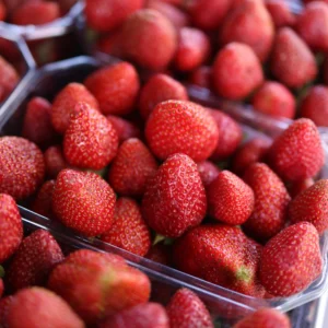 plastique-fraise-tramier
